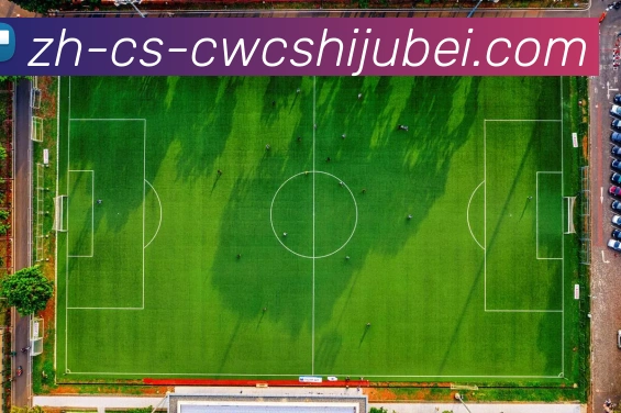 世界杯买球品牌故事