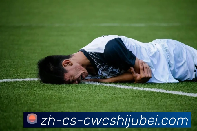 世界杯买球服务体系